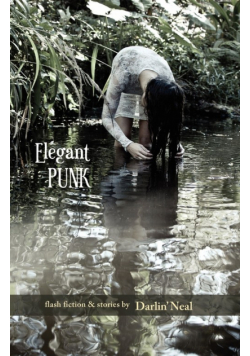 Elegant Punk
