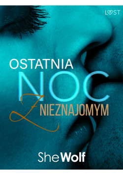 Ostatnia noc z nieznajomym – opowiadanie erotyczne