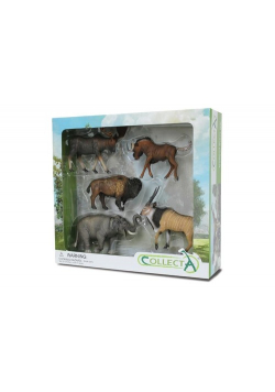 Collecta Zestaw 5 dzikich zwierząt