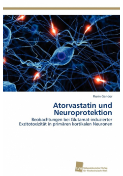 Atorvastatin und Neuroprotektion