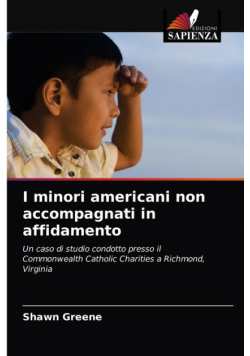 I minori americani non accompagnati in affidamento