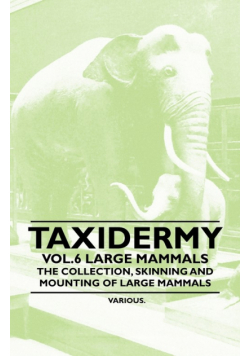 Taxidermy Vol.6 Large Mammals - The Collection, Skinning and Mounting of Large Mammals