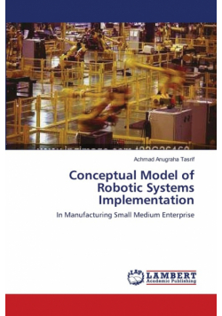 Conceptual Model of Robotic Systems Implementation