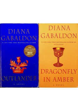 Outlander / Dragonfly in amber