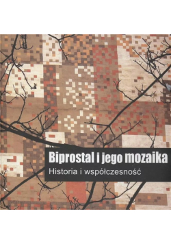 Biprostal i jego mozaika Historia i współczesność
