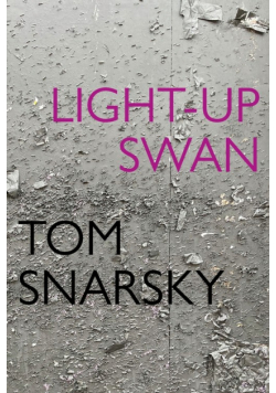 Light-Up Swan