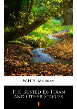 The Busted Ex-Texan and Other Stories