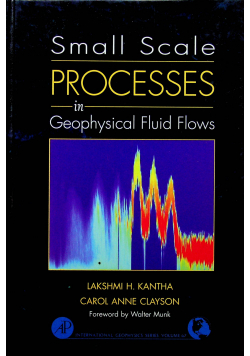 Small Scale Processes in Geophysical Fluid Flows