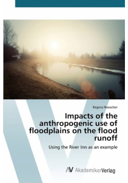 Impacts of the anthropogenic use of floodplains on the flood runoff