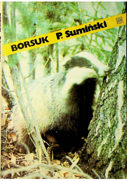 Borsuk