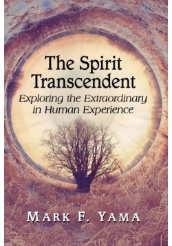 Spirit Transcendent