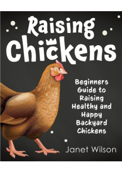 Raising Chickens