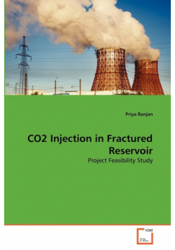 CO2 Injection in Fractured Reservoir
