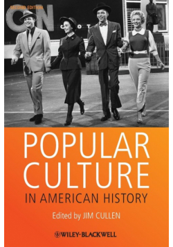 Popular Culture in American Hi