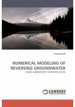 Numerical Modeling of Reversing Groundwater