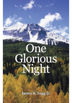 One Glorious Night