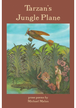 Tarzan's Jungle Plane