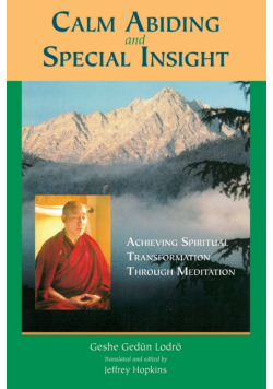 Calm Abiding and Special Insight