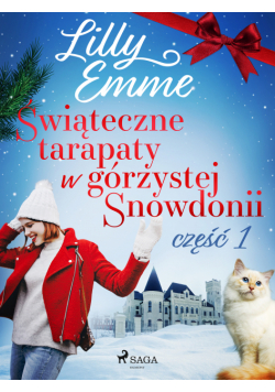Świąteczne tarapaty w górzystej Snowdonii - część 1