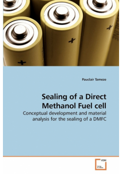 Sealing of a Direct Methanol Fuel cell