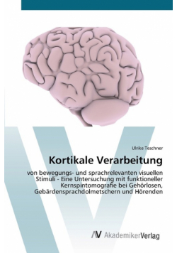 Kortikale Verarbeitung