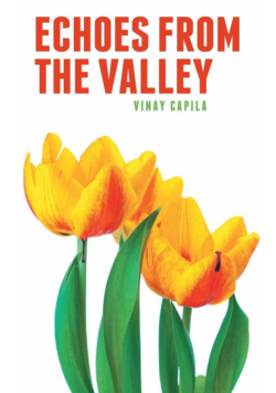 Echoes from the Valley