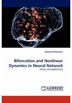 Bifurcation and Nonlinear Dynamics in Neural Network