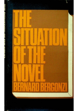 The Situation of the Novel