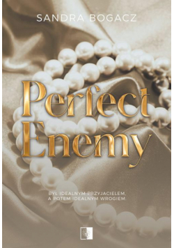Perfect enemy