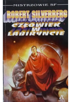 Człowiek w labiryncie