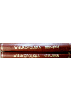 Wielkopolska 1851 1914 / Wielopolska 1815 1850
