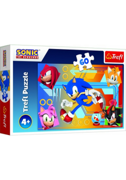 Puzzle Sonic w akcji 60