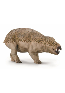 Lisowicia