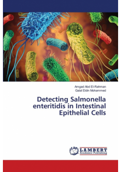 Detecting Salmonella enteritidis in Intestinal Epithelial Cells