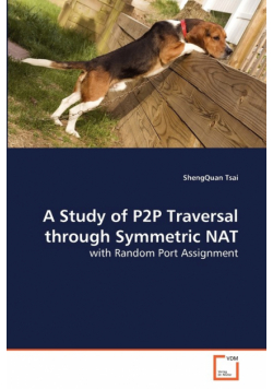 A Study of P2P Traversal through Symmetric NAT