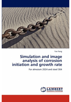 Simulation and image analysis of corrosion initiation and growth rate