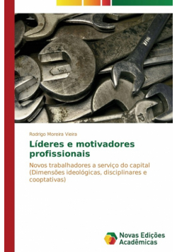 Líderes e motivadores profissionais
