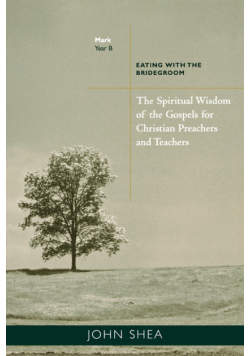 Spiritual Wisdom of the Gospels for Christian Preachers and Teachers