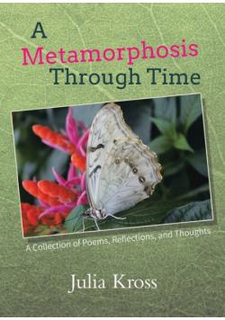 A Metamorphosis Through Time