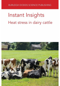Instant Insights