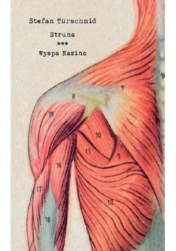 Struna/ Wyspa Nazino