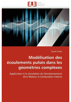 Modélisation des écoulements pulsés dans les géométries complexes