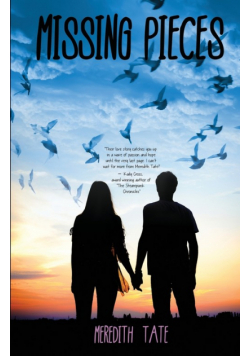 Missing Pieces