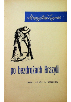 Po bezdrożach Brazylii