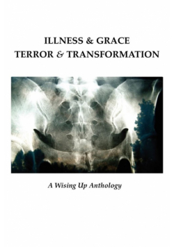 Illness & Grace, Terror & Transformation