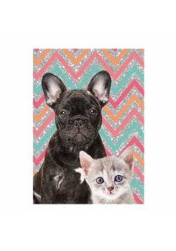 Pamiętnik błyszczący Dog & Cat 18-3660PK PASO