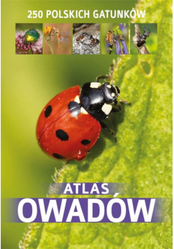 Atlas owadów (dodruk)