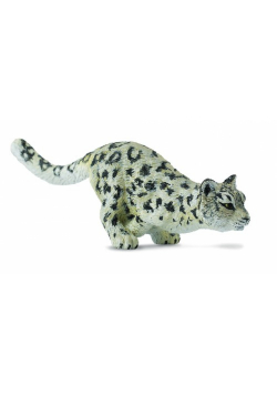 Leopard śnieżny młody biegnący