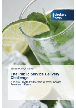 The Public Service Delivery Challenge