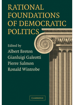 Rational Foundations of Democratic Politics